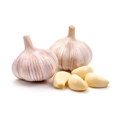 Чеснок крупный 1 кг - купить в Шуе