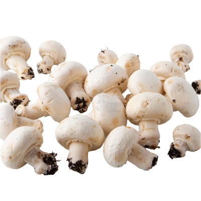 Шампиньоны свежие 500 г - купить в Шуе